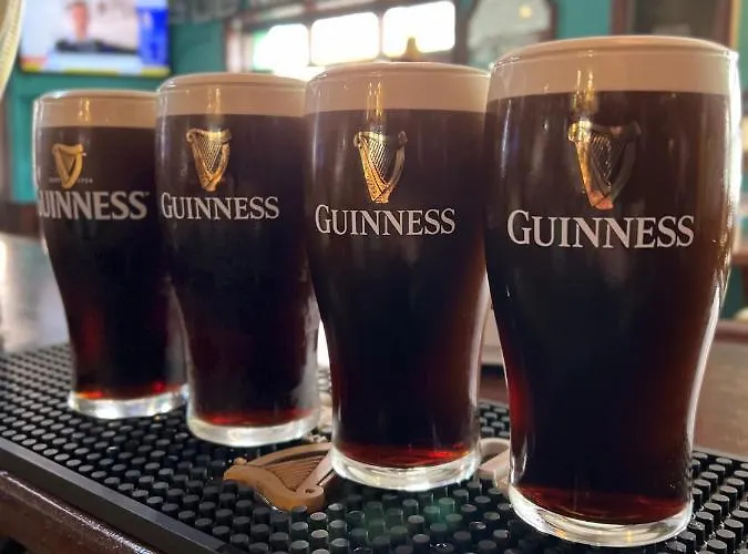 The Bailey Gastro Bar & Han/Misafirhane Athlone